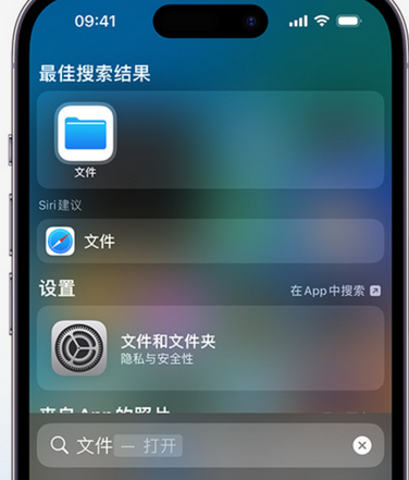 黎平apple维修中心分享iPhone文件应用中存储和找到下载文件 