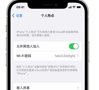 黎平apple服务站点分享iPhone上个人热点丢失了怎么办 