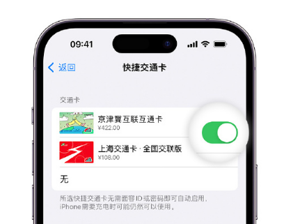 黎平apple维修点分享iPhone上更换Apple Pay快捷交通卡手绘卡面 