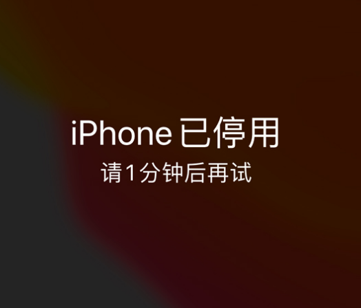 黎平苹果手机维修分享:iPhone 显示“不可用”或“已停用”怎么办？还能保留数据吗？ 