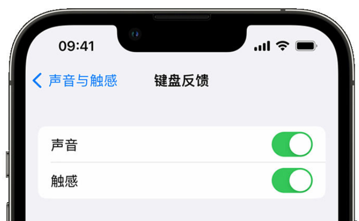 黎平苹果手机维修分享iPhone 14触感键盘使用方法 