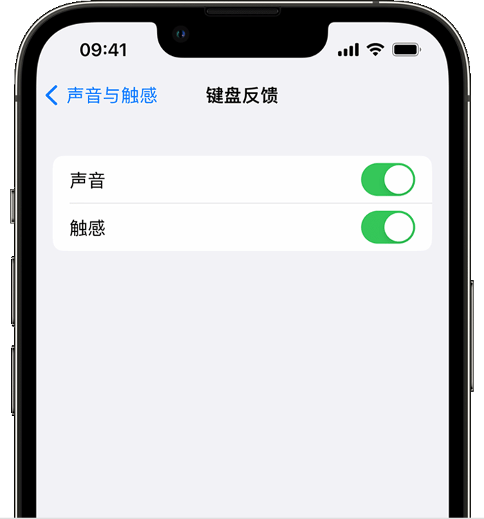 黎平苹果14维修店分享如何在 iPhone 14 机型中使用触感键盘 