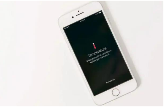 黎平苹果手机维修分享iPhone 手机发热如何快速降温 