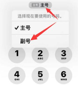 黎平苹果14维修店分享iPhone 14 Pro Max使用副卡打电话的方法 