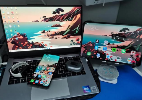 黎平苹果手机维修分享为什么iPad屏幕更大价格却比iPhone低 