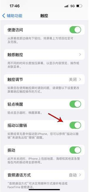 黎平苹果手机维修分享iPhone手机如何设置摇一摇删除文字 