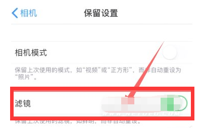 黎平苹果13维修分享iPhone13拍照有绿点是怎么回事 