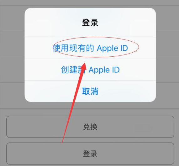 黎平苹果手机维修分享两台iPhone设备可以同时登录一个Apple ID吗 