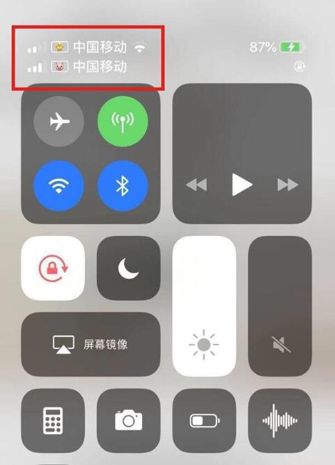 黎平苹果手机维修分享为 iPhone 12 双卡设置标签 