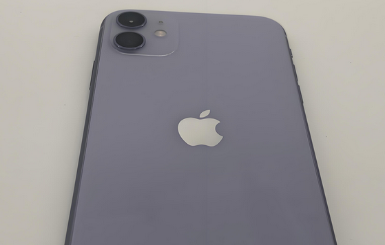 黎平苹果11系统维修分享iPhone11手机系统崩溃无法开机如何解决 